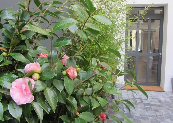 Hotel Mirabeau Eiffel