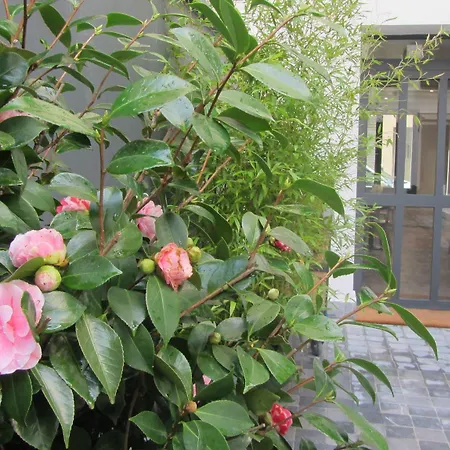 Hotel Mirabeau Eiffel